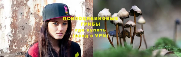 соль ск Нефтекумск