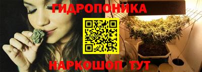ГАЛЛЮЦИНОГЕННЫЕ ГРИБЫ Гатчина