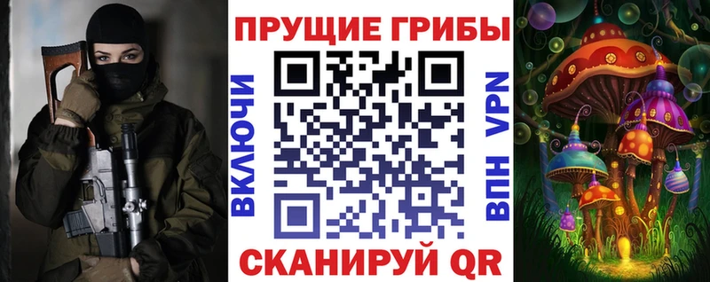 KRAKEN вход  Шумерля  Псилоцибиновые грибы ЛСД 