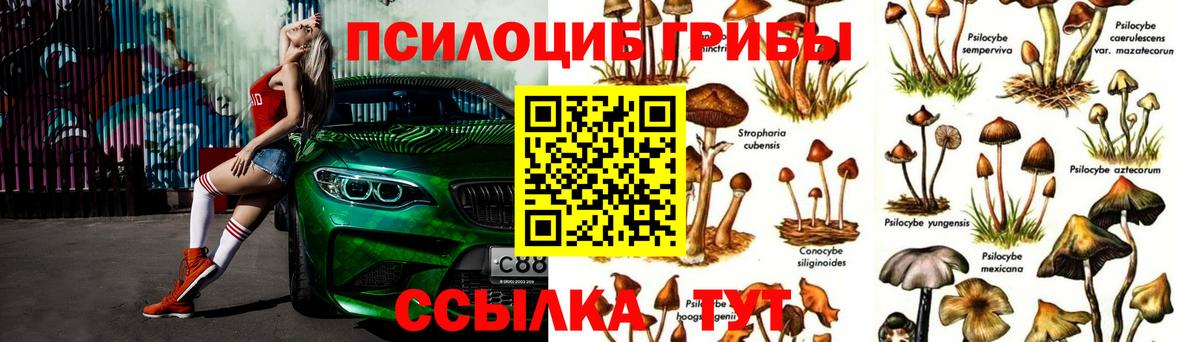 Галлюциногенные грибы GOLDEN TEACHER Шумерля