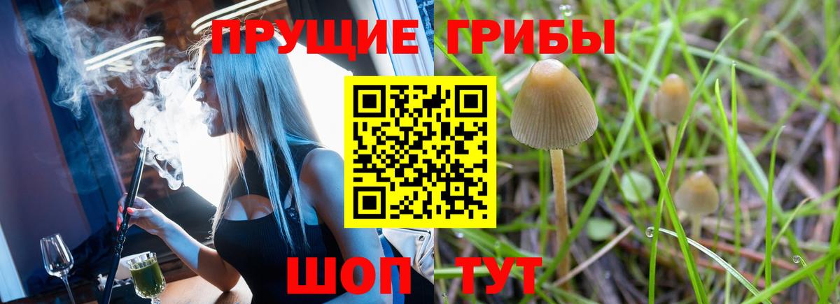 Галлюциногенные грибы Cubensis  Вход с VPN  Шумерля 