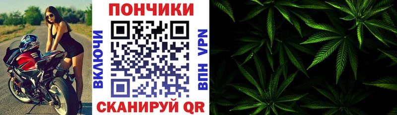 где найти наркотики  Шумерля  Бошки марихуана планчик 